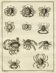 West Africa - crustaceans, 1760