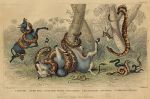 Snakes - Anaconda, Python, Rattlesnake, Cobra, 1868