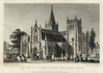 Devon, Ottery St.Mary's Church, 1830