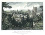 Somerset, Wells view, from the south east, 1829