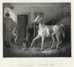 Town Quarters (stable with horse, cat & dog), 1849