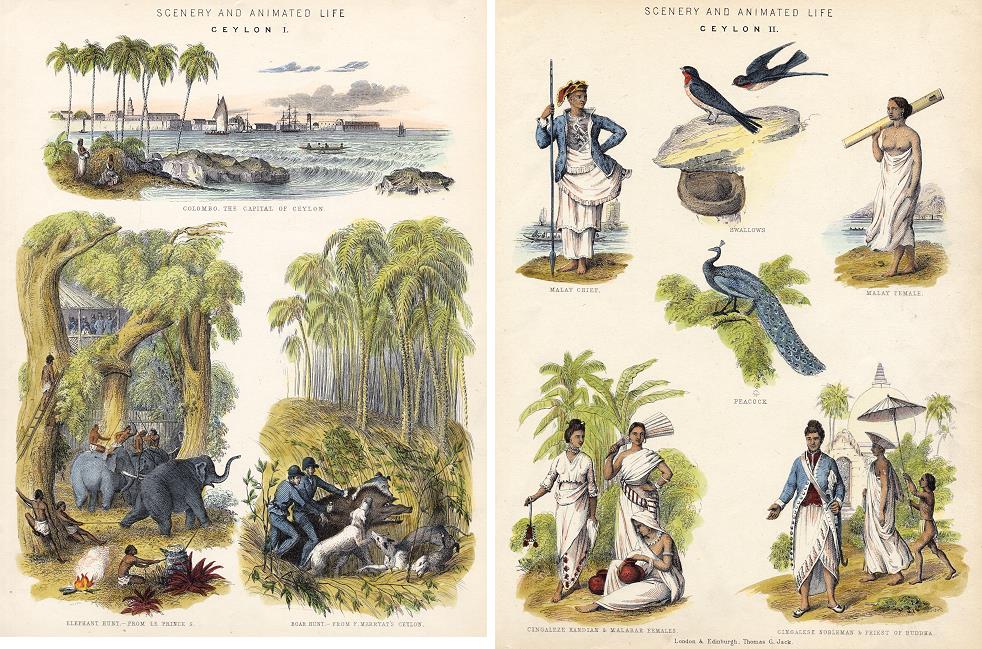 Ceylon, 2 multi-view prints, 1880