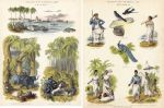 Ceylon, 2 multi-view prints, 1880