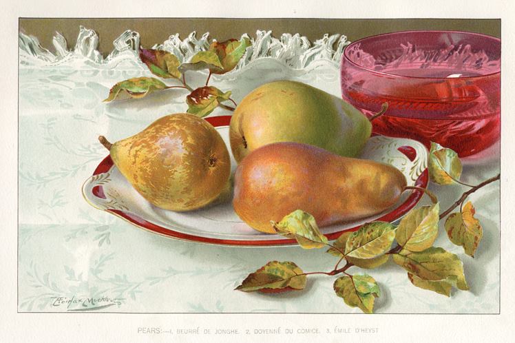 Pears, 1895