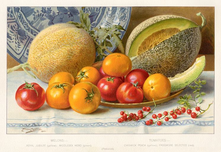 Melons and Tomatoes, 1895