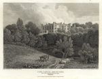 Yorkshire, Cave Castle: South Cave, 1810