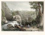 India, View near Deobun, 1840