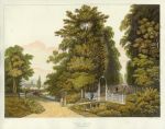 Cheltenham, Old Well Walk, Hulley / Merke aquatint, 1815