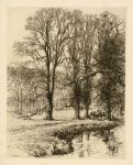 Leicestershire, Stanford Park, etching by Sumner, 1882