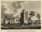 Ireland, Wexford, Abbey of Selkser, 1786