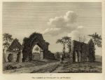 Ireland, Co.Wicklow, Abbey at Wicklow, 1786