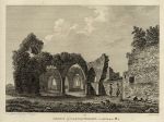 Ireland, Co.Kildare, Abbey of Castle Dermot, 1786