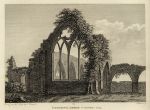 Ireland, Co.Kildare, Dermot's Abbey, 1786