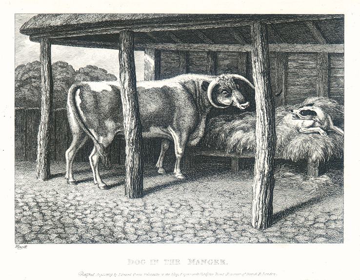 Dog and Ox (Dog in a Manger), Howitt, 1810