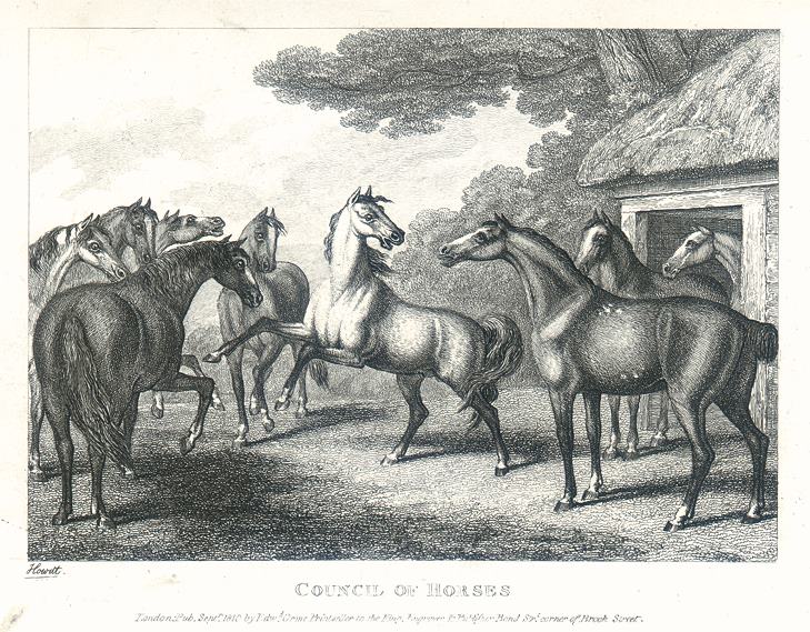 Council of Horses, Howitt, 1810
