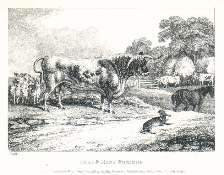 Hare & Many Friends, Howitt, 1810