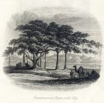 India, Encampment near Roopur on the Sutley, 1860