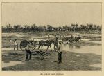 Trinidad, the Asphalt Lake, 1880