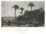USA, Coast of Florida, 1875