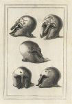 Greek & Roman Helmets, Military Antiquities, 1801
