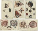 Medical. Eyes, (5 prints), 1813
