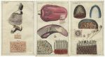 Medical. Jaw, teeth & tongue (3 prints), 1813