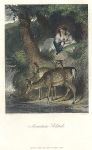 Mountain Solitude (with deer), 1844