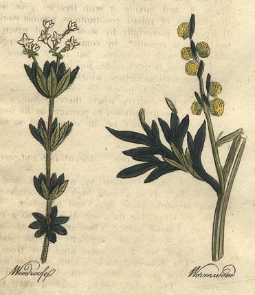 Herbs - Woodroofe & Wormwood, 1812