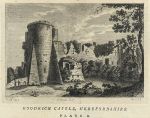 Herefordshire, Goodrich Castle, 1786
