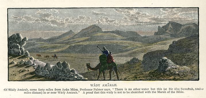 Sinai, Wady Amarah, 1880