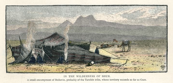Sinai, Wilderness of Shur, with Bedouin Camp, 1880