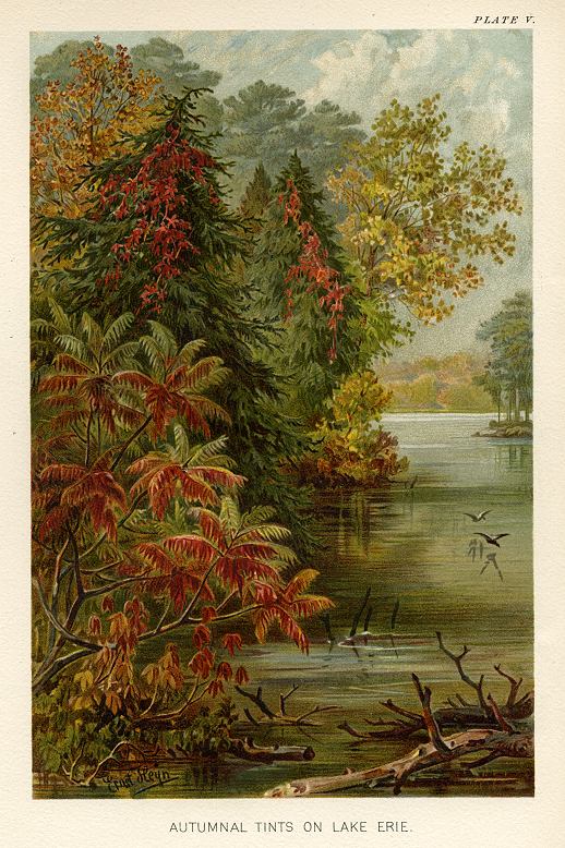 Autumnal Tints on Lake Erie (in fall), 1896