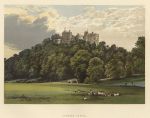 Somerset, Dunster Castle, 1880