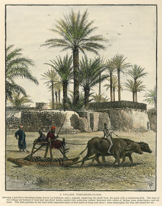 Egypt, Goshen, Village Threshing-Floor, 1880