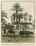 Egypt, Goshen, Village Threshing-Floor, 1880