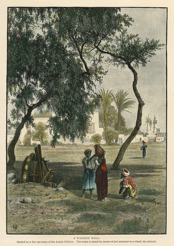 Egypt, near Cairo, a Wayside Well, 1880