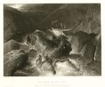 Death of the Stag, after Landseer, 1851
