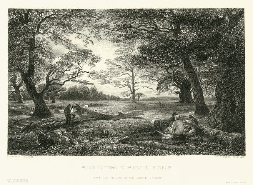 Berkshire, Windsor Forest, 1851