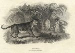 Tiger scaring a family, 1806