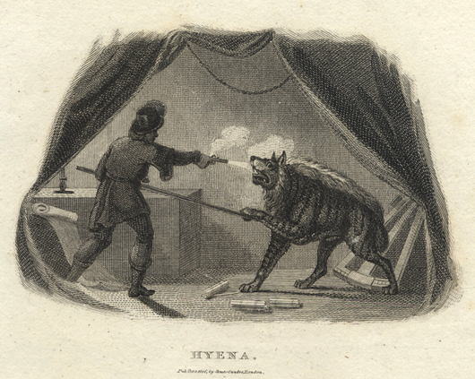 Hyena, being shot, 1806