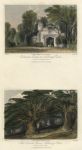 Surrey, Norbury Park, Entrance Lodge & Druids' Grove, 1845