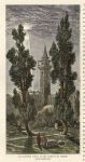 Jerusalem, Old Cypress Trees in the Haram Esh Sherif (western side), 1880