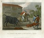 Spain, Corrida de Toros (Bull Fight), 1807