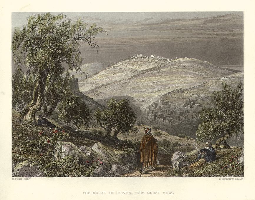 Jerusalem, Mount of Olives from Mount Zion, 1875