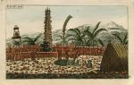 Funerary customs, Hawaii, Morai, or Burial Place, 1813