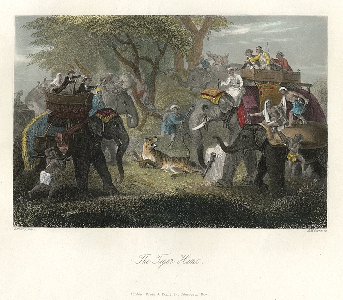 India, Tiger Hunt, 1849