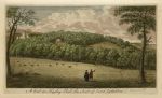 Worcestershire, Hagley Park, 1770