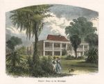 USA, Louisiana, Planter's House on the Mississippi, 1875