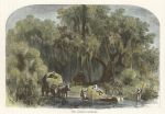 USA, Louisiana, The Moss-Gatherers, 1875