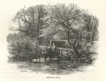Derbyshire, Markeaton Brook, 1875